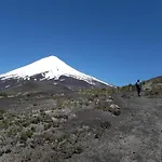 Cabanas Chucao Austral