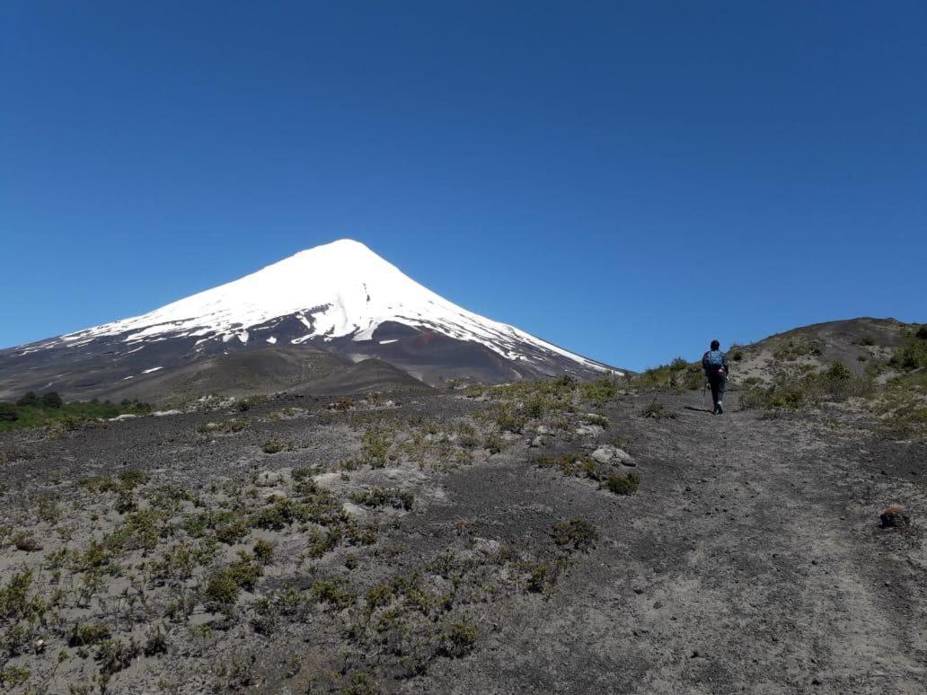Chucao Austral Puerto Montt